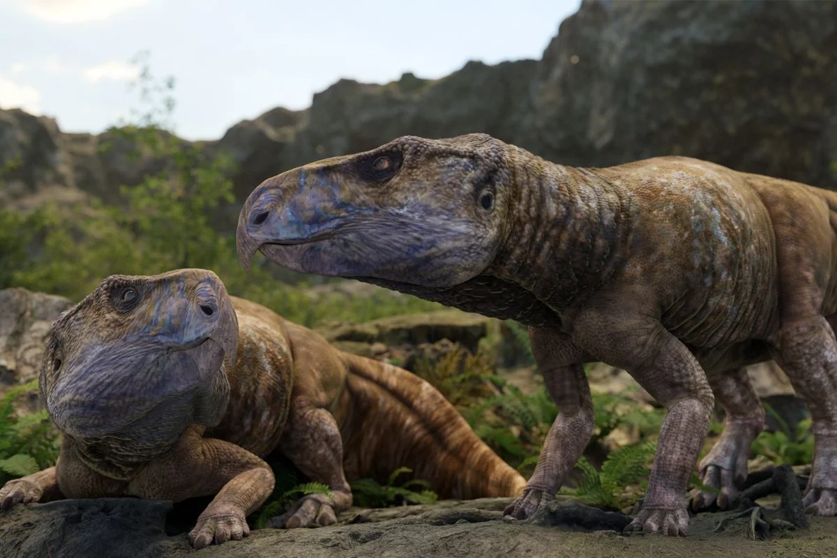 84 Millionen Jahre alte Fossilien eines gehörnten Dinosauriers schreiben Europas prähistorische Geschichte neu