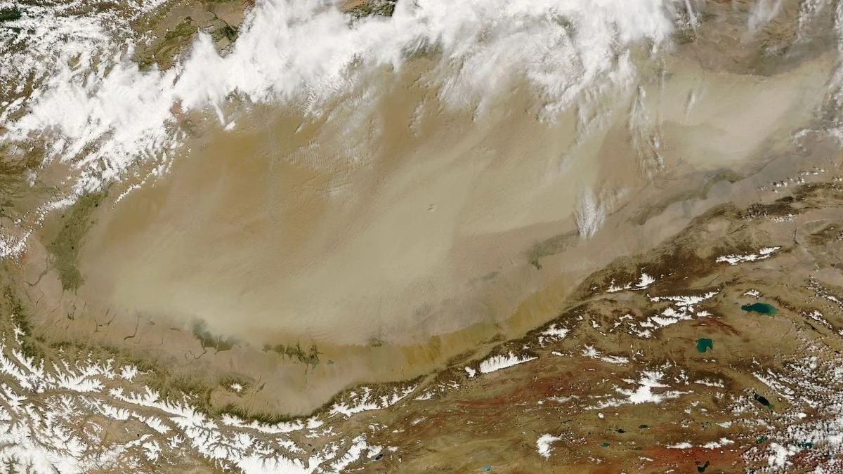 China hat so viele Bäume in der Taklamakan-Wüste gepflanzt, dass sie inzwischen CO2 absorbiert
