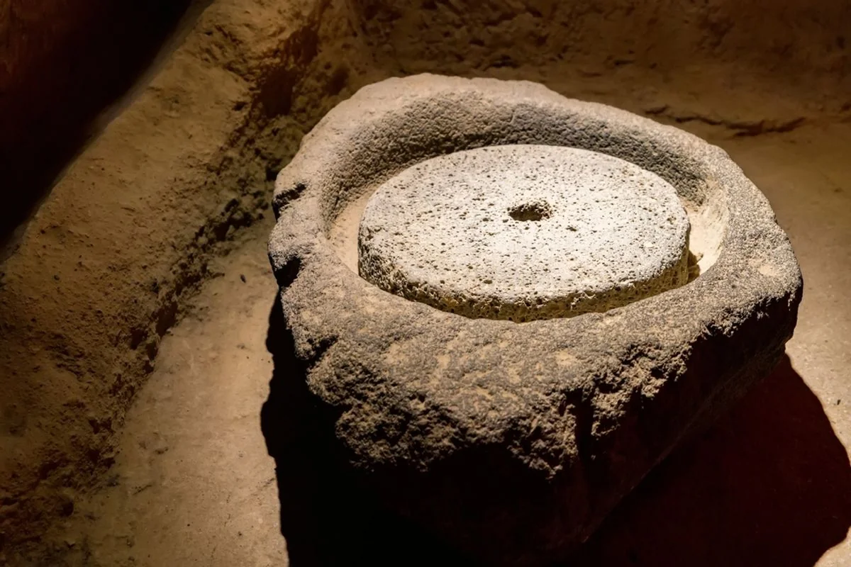 Frühe Menschen beherrschten die Verarbeitung von Pflanzen vor 170.000 Jahren und stellten damit den Mythos des paläolithischen Fleischessers in Frage