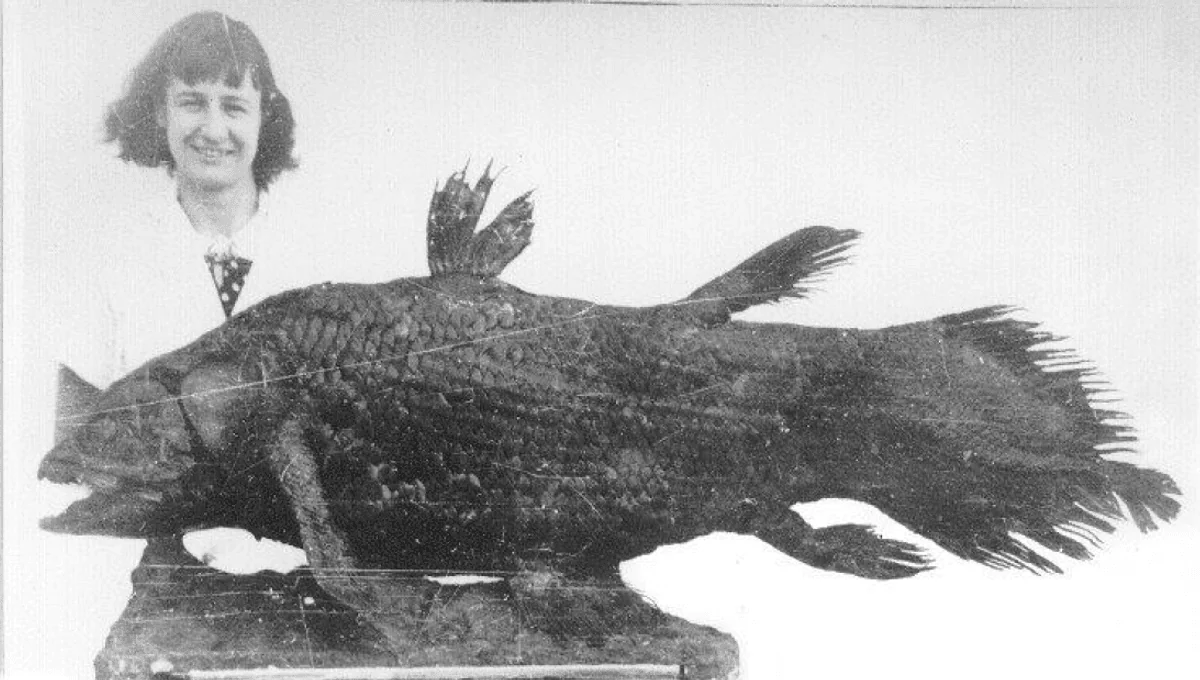 Marjorie und der Quastenflosser: Wie eine Museumsmitarbeiterin eine Art wiederentdeckte, die seit 66 Millionen Jahren als ausgestorben galt