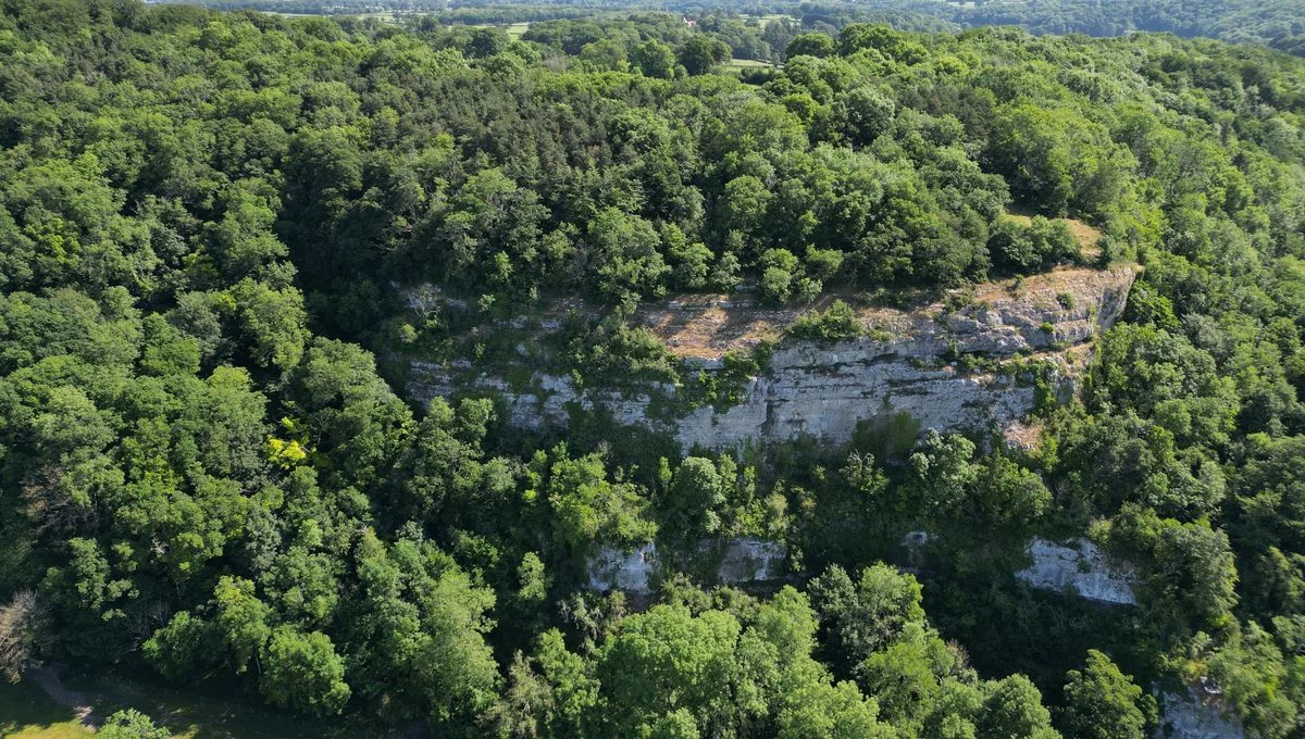 Neandertaler, Megafauna und Geschichten von seltsamen Monstern in den Höhlen des Elwy-Tals