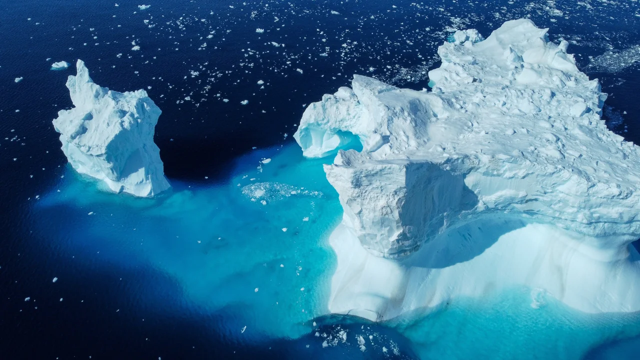 Unerwartete Entdeckung: Tausende Nester unter dem Eis in der Antarktis entdeckt