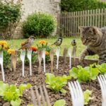 Gemüsegarten: Diese in die Erde gesteckten Abdeckungen, um die sich Gärtner reißen, um Katzen und Vögel fernzuhalten (ohne Produkte)